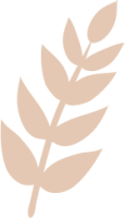 Leaf-2.png